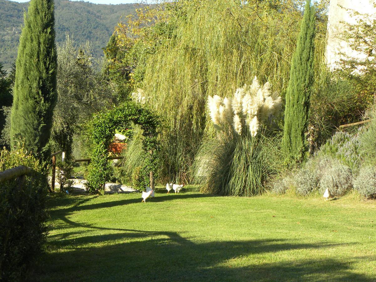 Country Resort Il Frassine Rignano sullʼArno Exteriér fotografie